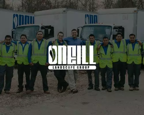 oneill-landscape-group